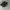 SABA Footwear Sportswear Sneakers Pria black photo 1