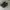 SABA Footwear Sportswear Sneakers Pria Black