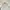 Japanese brand Vintage Casual Fur coat Wanita cream photo 1