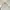 Japanese Brand Vintage Casual Fur Coat Wanita Cream