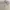 Japanese brand Vintage Casual Fur coat Wanita cream photo 2