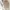 Jean-Michel Basquiat Casual Hoody Pria white photo 6