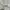 Polo Ralph Lauren Vintage Polo shirt Pria white photo 7