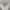 Polo Ralph Lauren Vintage Polo shirt Pria white photo 4