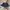 Y2K Lolita Mini skirt Wanita navy photo 1