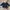 H&M Streetwear Minimalist Crop Top Wanita Black