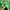 Casual Sweatshirt Wanita green photo 4