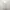Cotton On Vintage Summer dress Wanita white photo 2