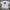 Vintage Streetwear T-shirt Pria White