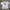Vintage Streetwear T-shirt Pria white photo 2