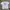 Vintage Streetwear T-shirt Pria White
