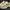 Puma Vintage Streetwear Sneakers Pria tan cream photo 1