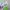 Nike Casual Sneakers Pria multicolor photo 5