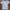 Zoo York Casual T-shirt Pria multicolor photo 1