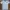 Zoo York Casual T-shirt Pria Multicolor
