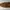 Carhartt Vintage Streetwear Suit Pria brown photo 3