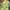 Teenie Weenie Y2K Casual T-shirt Wanita multicolor green photo 2
