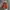 Vintage Track jacket Wanita orange photo 1