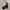 Obey Streetwear Skater Hoody Pria gray photo 5