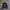 Vision Street Wear Skater Hoody Pria Navy
