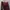 Y2K Goth Capes & poncho Wanita burgundy red photo 2