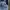 Spao Casual Hoody Pria blue photo 4
