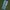 Lee Vintage Streetwear Jeans Pria white blue photo 5