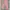 Vintage High waisted jeans Wanita pink photo 3