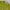 Cardigan Levi’s Fuzzy Knitwear Avocado Green