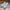 Nike Casual Sneakers Pria multicolor photo 2