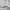 Supreme Streetwear Luxury Hoody Pria white photo 3