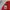 Vintage Biker Windbreaker Pria red photo 4