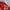 Vintage Biker Windbreaker Pria red photo 3