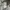 Semantic Design Streetwear Y2K Puffer jacket Pria brown photo 4