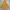 Barbour Gorpcore Sportswear Parka Pria Yellow