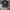 Dickies Casual Formal shirt Pria gray photo 4