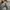 Vintage Y2K Jeans Pria white blue photo 5