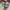 Casual Sneakers Pria brown photo 4