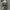 ZARA Casual Midi dress Wanita white black photo 1