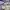 Ozone Community Avant Garde Other Pria multicolor photo 3