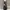 Luxury Prom dress Wanita black photo 1