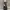 Luxury Prom Dress Wanita Black