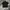 Dickies Casual Casual Shirt Pria Black