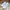 Polo Ralph Lauren Casual Sneakers Pria white photo 2