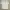 Calvin Klein Sportswear Casual Polo shirt Pria white photo 1