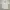 Nautica Sportswear Casual Polo shirt Pria white green photo 1