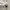 Nautica Sportswear Casual Polo shirt Pria white green photo 4