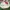 Sanrio Casual Tote bag Wanita white red photo 1