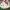 Sanrio Casual Tote Bag Wanita White Red
