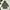1017 ALYX 9SM Vintage Casual Windbreaker Pria green photo 1